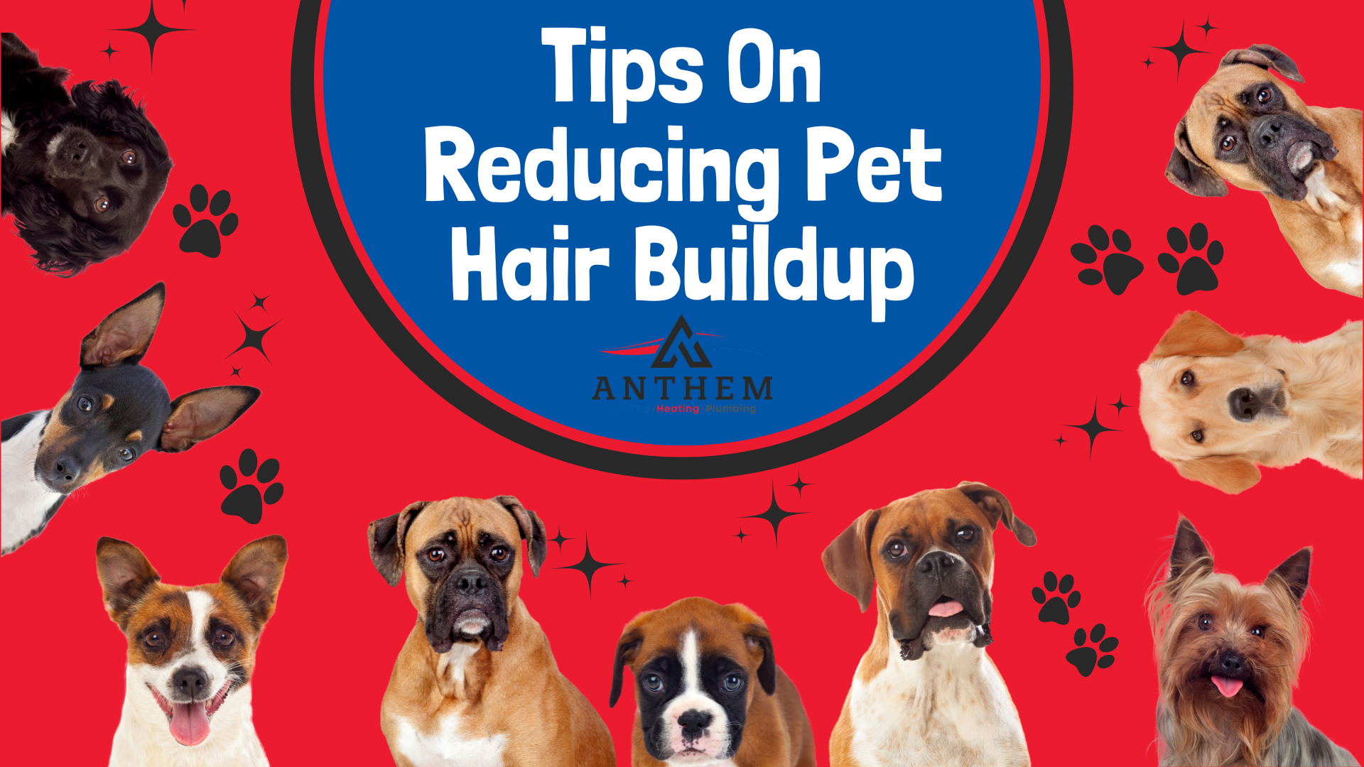 Tips On Reducing Pet Hair Buildup